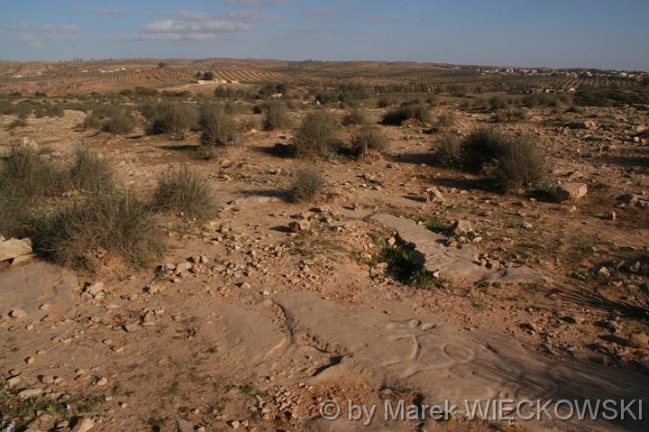 libya_jebel 069